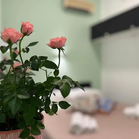 Sapuri I Casa